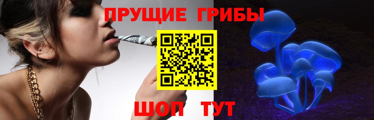 Псилоцибиновые грибы Psilocybe  Вход с VPN  Курчалой 